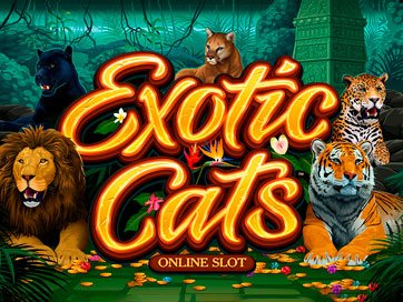 Slot
